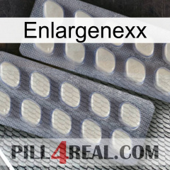 Enlargenexx 07